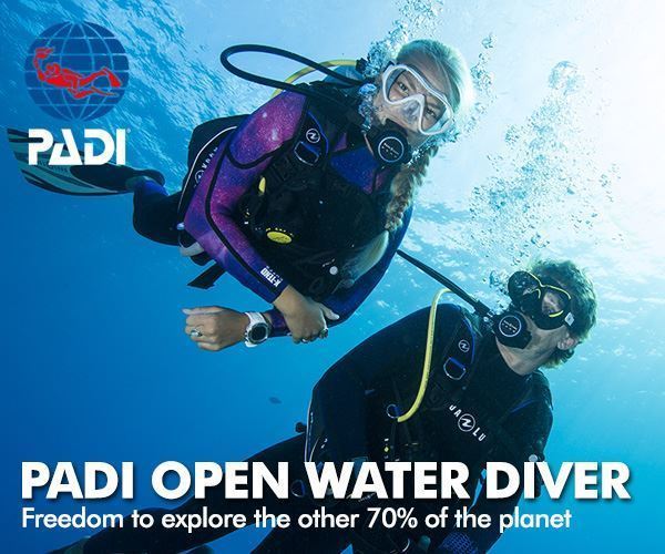 Padi Open Water Diver (begynderkursus) thumbnail